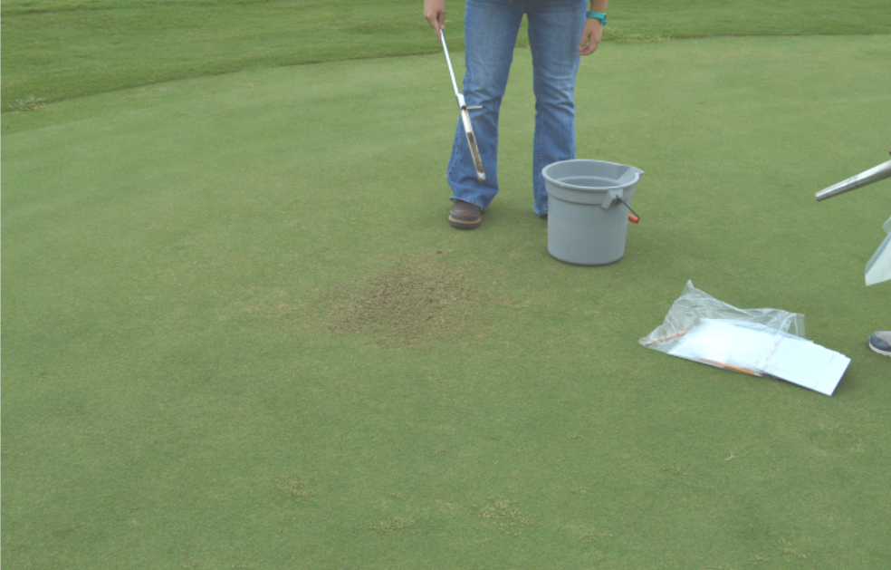 Collecting soil samples in a plastic bagpng